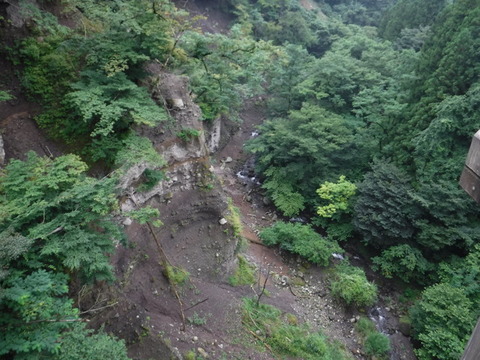 DSCF1142
