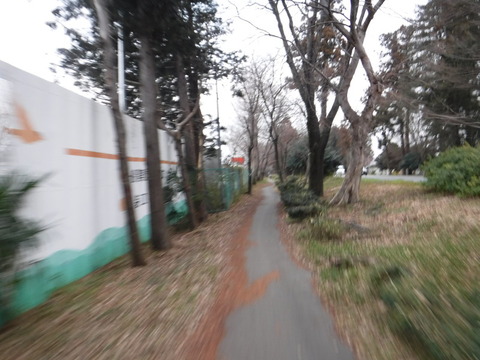 DSCF7487