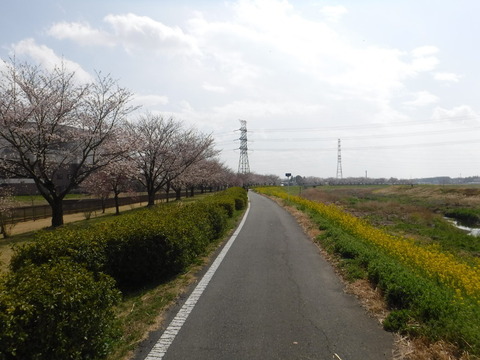 DSCF7943