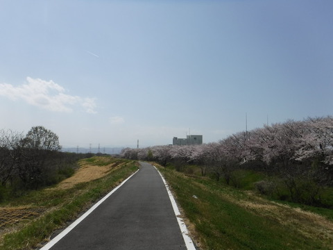 DSCF8066
