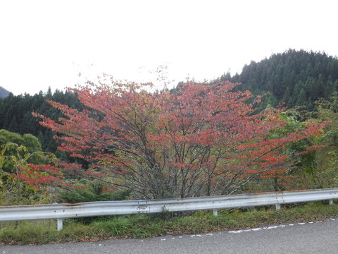 DSCF1935
