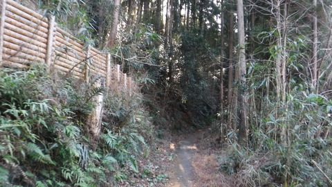 DSCF4093
