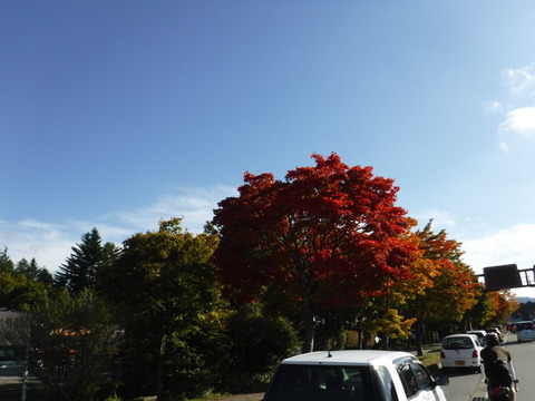 DSCF1930