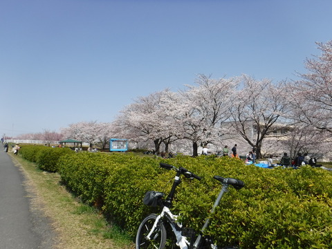 DSCF8006