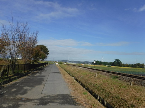DSCF6553