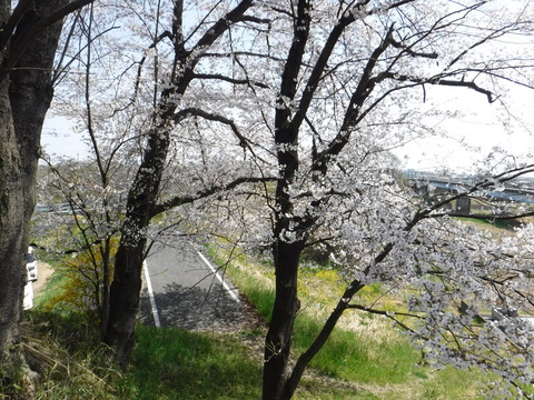 DSCF8025