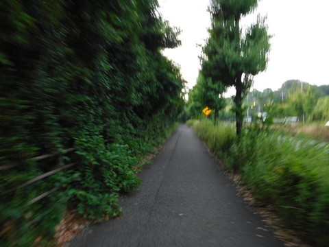 DSCF0873