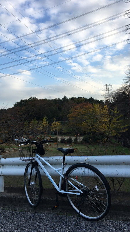 181111_田波目城跡_029