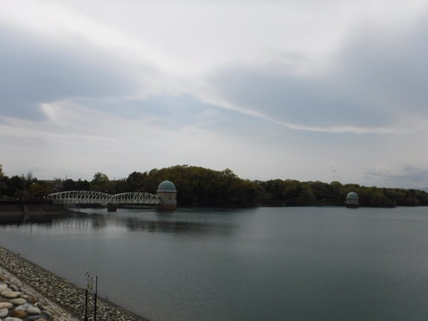 190414_多摩湖111