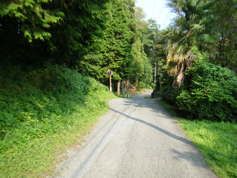 DSCF2411