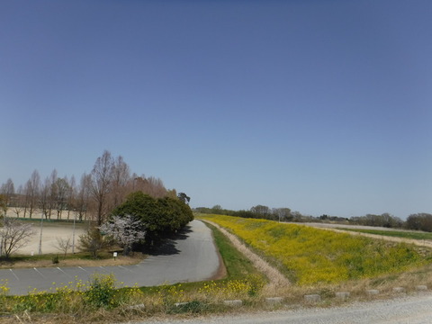 DSCF8068