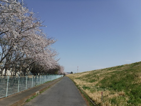 DSCF8092