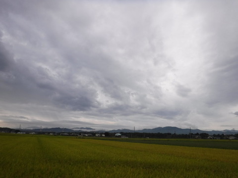 200919_上里-small_075