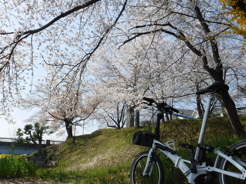 DSCF8027