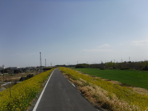 DSCF8078