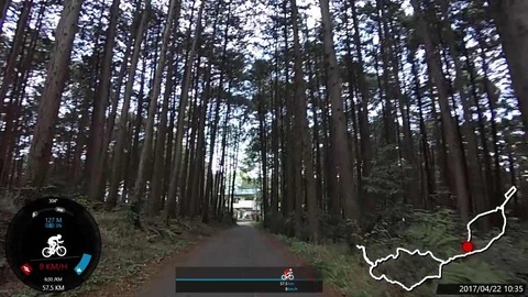 mp4_011721197