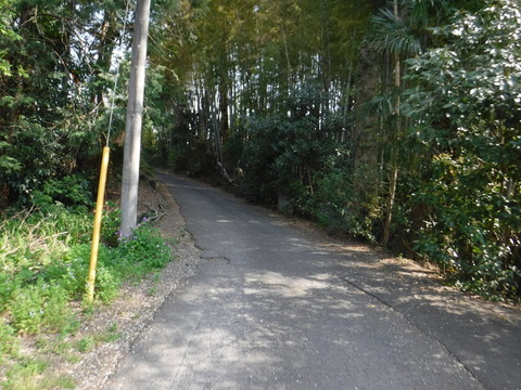 DSCF8516