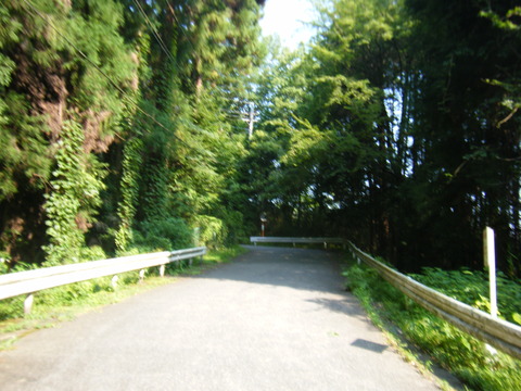 DSCF2419