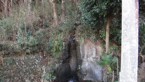 DSCF4134