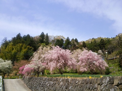 20150418_135320-0