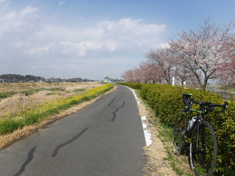 DSCF7946