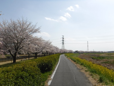 DSCF8124