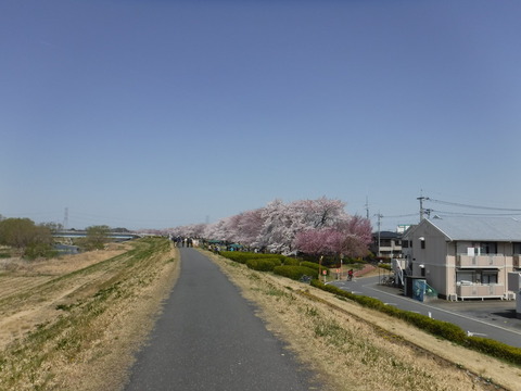 DSCF7999