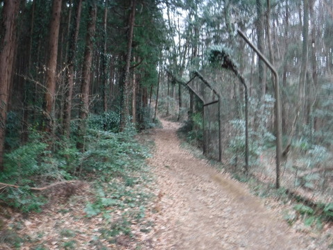 DSCF7468