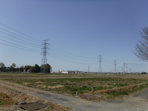 DSCF8070