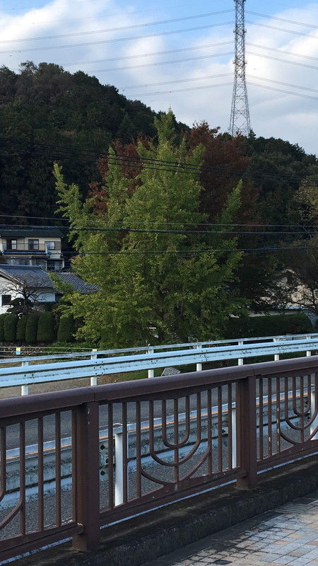 181111_田波目城跡_010