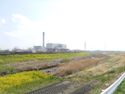 DSCF7939