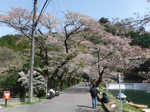 DSCF0074