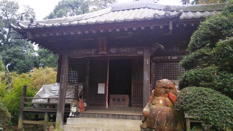 CM141102-145757002
