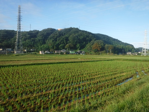 DSCF6534