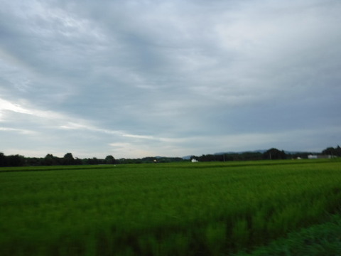 DSCF1594