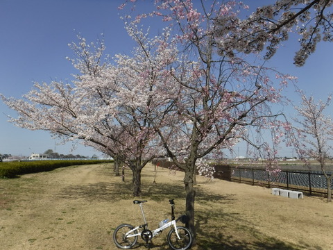 DSCF8122