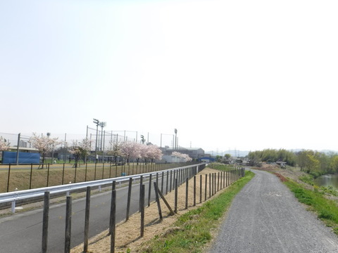 DSCF8492