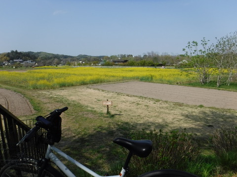 DSCF8564