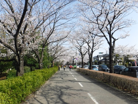 DSCF8155