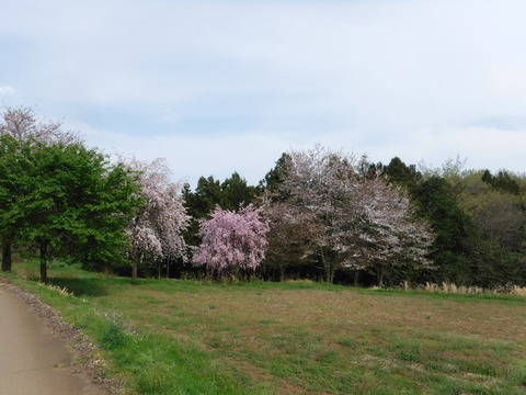 DSCF0088