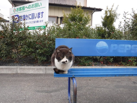 DSCF7832