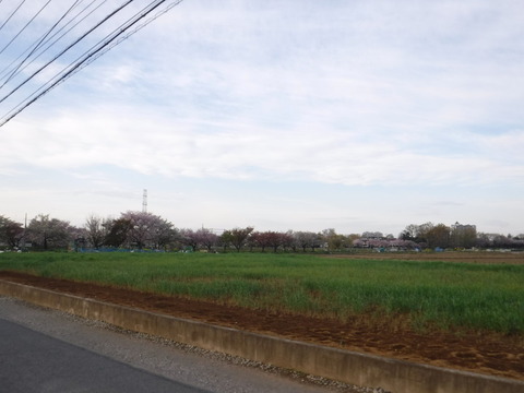 190414_多摩湖003
