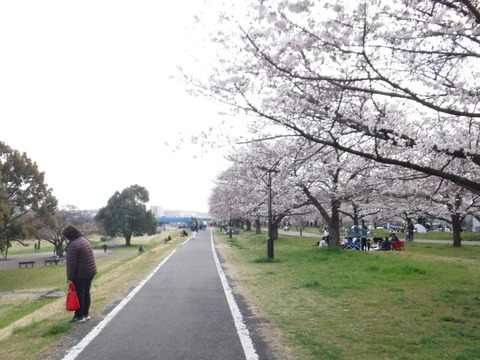 DSCF7974