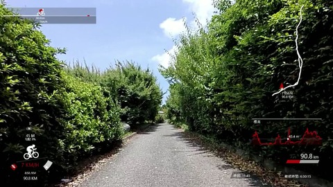 mp4_019437545