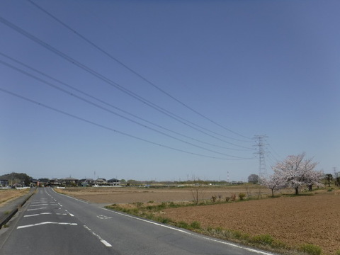 DSCF8016