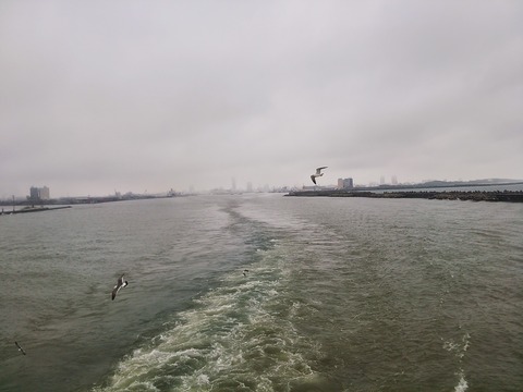 20150516_125055-0