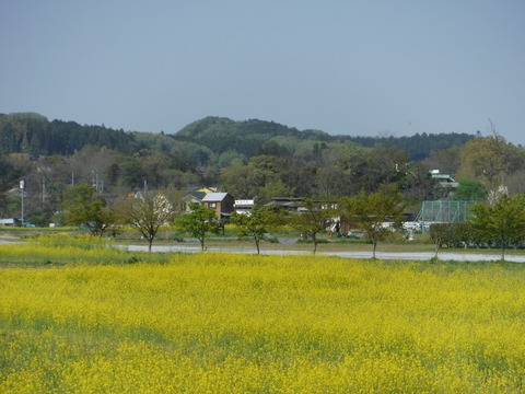 DSCF8565