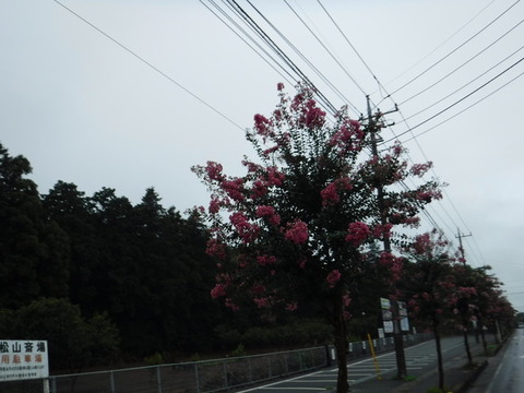 DSCF1108