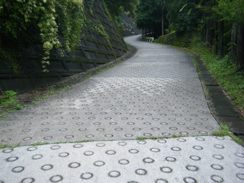 DSCF2488