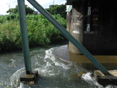 DSCF6018